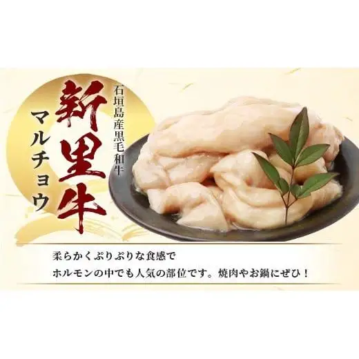 石垣島産 黒毛和牛 新里牛 マルチョウ(500g×2) 合計1kg SZ-22