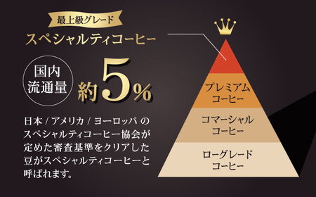 コーヒー[豆]3回定期 自家焙煎スペシャルティコーヒー豆(250g×4種)約80杯分ZCJ017