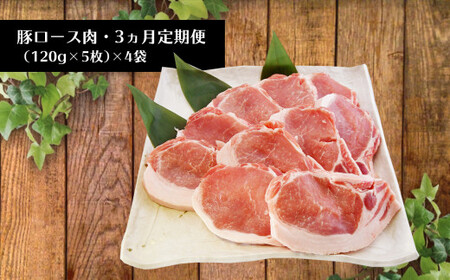 【定期便3回】火の本豚 豚 ロース （2400ｇ） 豚肉