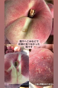 見た目が理由の訳あり桃 約2kg（5～9玉）【2026年発送】（HCF）A07-845 訳あり 桃 フルーツ