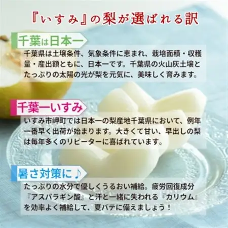 【2026年発送先行受付】いすみ市産あきづき梨　約5kg(11～12個)_果物・フルーツ 和梨 梨 わなし ワナシ_【1462342】