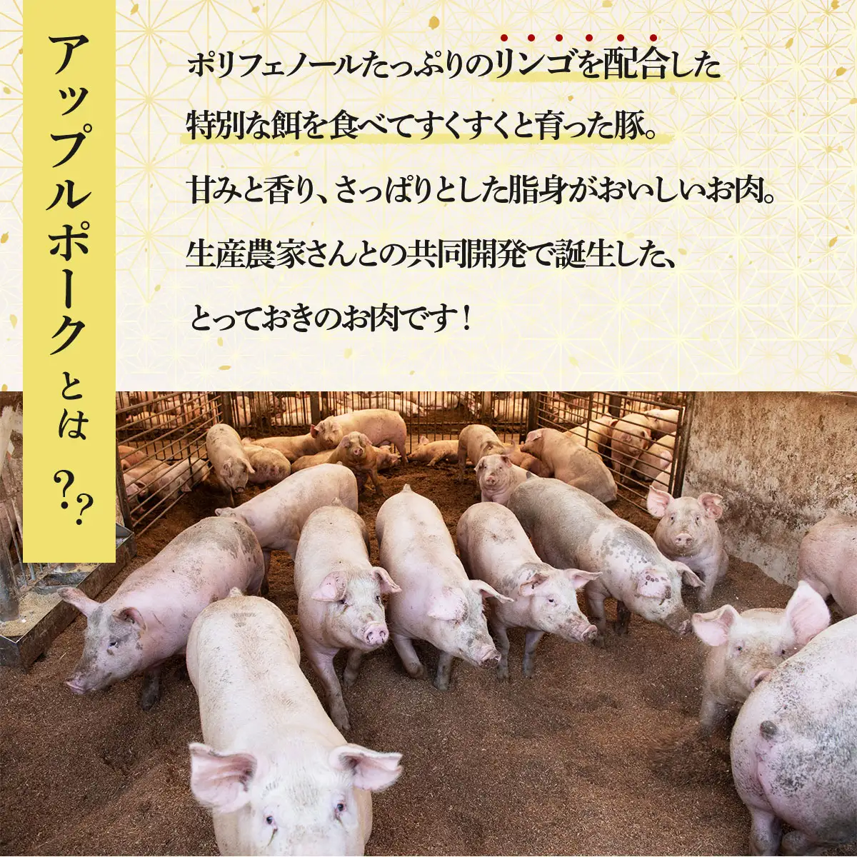 【金賞受賞チーズ入り】アップルポークのチーズしゃぶしゃぶセット（4人前・豚肉800g）【アップルポーク チーズ モッツアレラチーズ しゃぶしゃぶ 豚肉 ぶた ブタ ブランド肉 ポン酢 青森県産 国産 国産豚 豚バラ 豚ローズ 青森県 七戸町】【02402-0257】