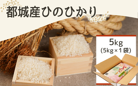 みやこんじょ育ち都城産ひのひかり5kg≪みやこんじょ特急便≫_21-K701-Q_(都城市) 都城産 ひのひかり 5kg 田園 霧島裂罅水 土づくり こだわり 都城米 甘み 旨味 粘り 香り 米 旨味 白米 ごはん
