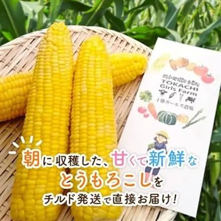 先行受付【十勝ガールズ農場】直送 朝もぎつぶつぶ「あま～いゴールドとうもろこし」10本_野菜 とうもろこし  トウモロコシ_【配送不可地域：離島】【1462030】