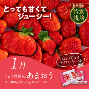 【定期便4回】久留米人気ぐるめ食べ比べ定期便（隔月お届け）_定期便 4回 人気 ぐるめ 食べ比べ 隔月お届け あまおう いちご 5パック ハンバーグ スタミナソース 各5個 自家製煮魚 4切 このみ桜 馬刺し 赤身上 150g × 2 肉 魚 フルーツ お手軽 加工食品 セット 福岡県 久留米市 お取り寄せ お取り寄せグルメ 送料無料 〔Tk010〕
