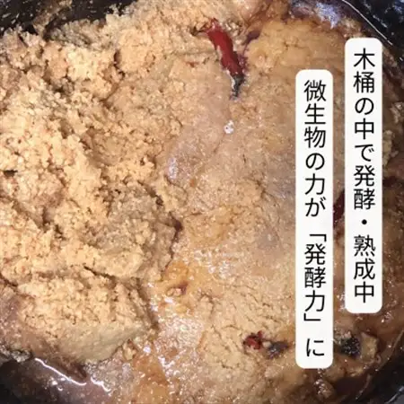 木桶仕込みの伝統味噌  500g×2個_調味料 味噌  みそ_【配送不可地域：離島】【1449194】