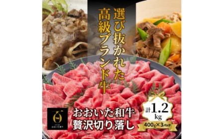 おおいた和牛/贅沢切り落し1.2kg _1179R