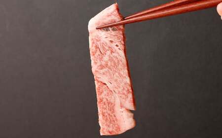 くまもと黒毛和牛 焼肉用 ロース・カルビ 切り落とし 500g