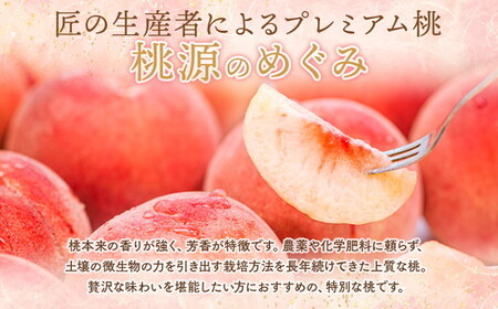 ◆2026年夏発送◆桃源のめぐみ ～産直・桃・約2kg～ ※離島への配送不可 ※2026年7月上旬～9月上旬頃に順次発送予定｜桃 もも モモ フルーツ 果物 ふくしま 福島 国見町 詰め合わせ