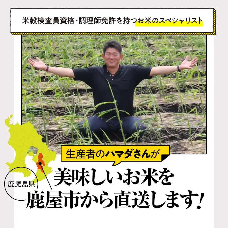 1669-2 【 全3回定期便 】 こだわり農家の自信作！ 鹿屋市高隈産 「 ひのひかり 」 10kg KN069-T02 米