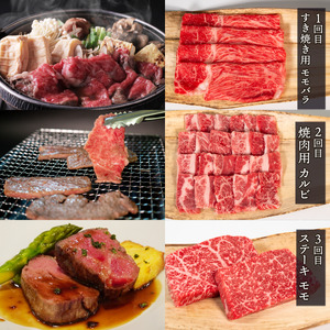 【6ヶ月定期便】近江牛 定期便 6ヶ月 すきしゃぶ 焼き肉 ステーキ【 近江牛 牛肉 】