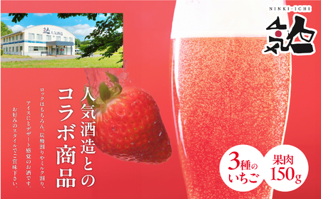 リキュール Koichigoリキュール 300ml×1本【まるなかファーム株式会社】