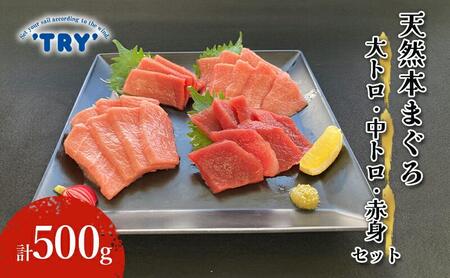 【天然】本まぐろ　大トロ・中トロ・赤身セット 500g 鮪 本鮪 本マグロ マグロ 刺身 刺し身 海鮮 サク 海の幸◆