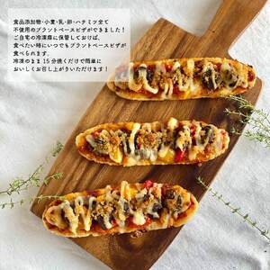 自然をほおばる プラントベース ( ピザ カレーパン スイーツ ) | お取り寄せ 冷凍 健康 美容 食生活 改善 自家製 カレーパン 天然酵母 カレー 人気 人気おすすめ 愛媛県 松山市【SL001】