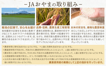 令和7年産 米 お米 とちぎの星 3ヶ月定期便 5kg JAおやま《30日以内に出荷予定(土日祝除く)》 栃木県 野木町産 コメ 米 ブランド米 とちぎのほし【栃木県共通返礼品】