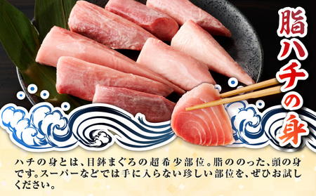特選 目鉢鮪 頭肉 超希少部位 「 脂ハチの身 」 M081-001 冷凍 マグロ