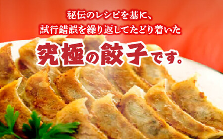 元祖オクタン餃子（焼き餃子18個入×4パック）　【12203-0130】