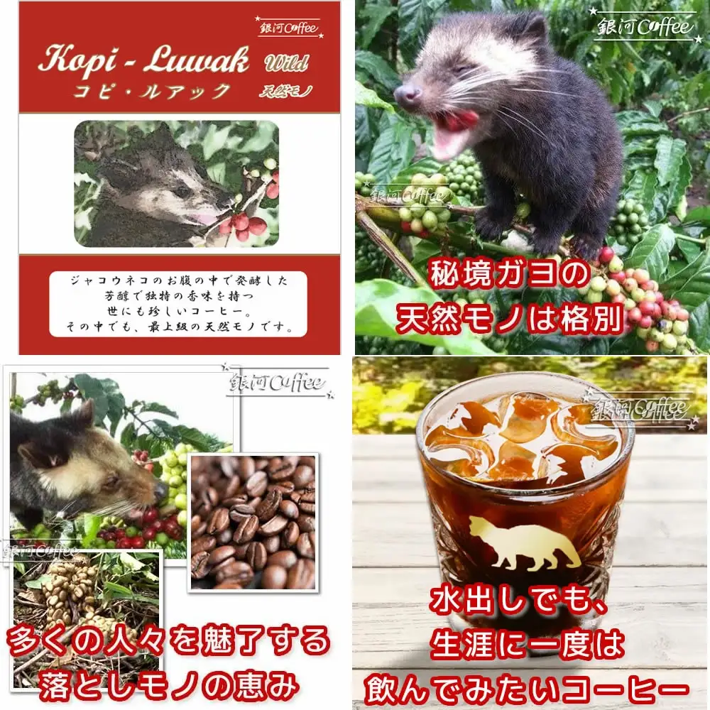 【12203-0127】水出し珈琲セット（お手軽版） 生涯で飲みたい 世界３大コーヒー80g×3種 銀河コーヒー ふるさと納税 市川市 返礼品