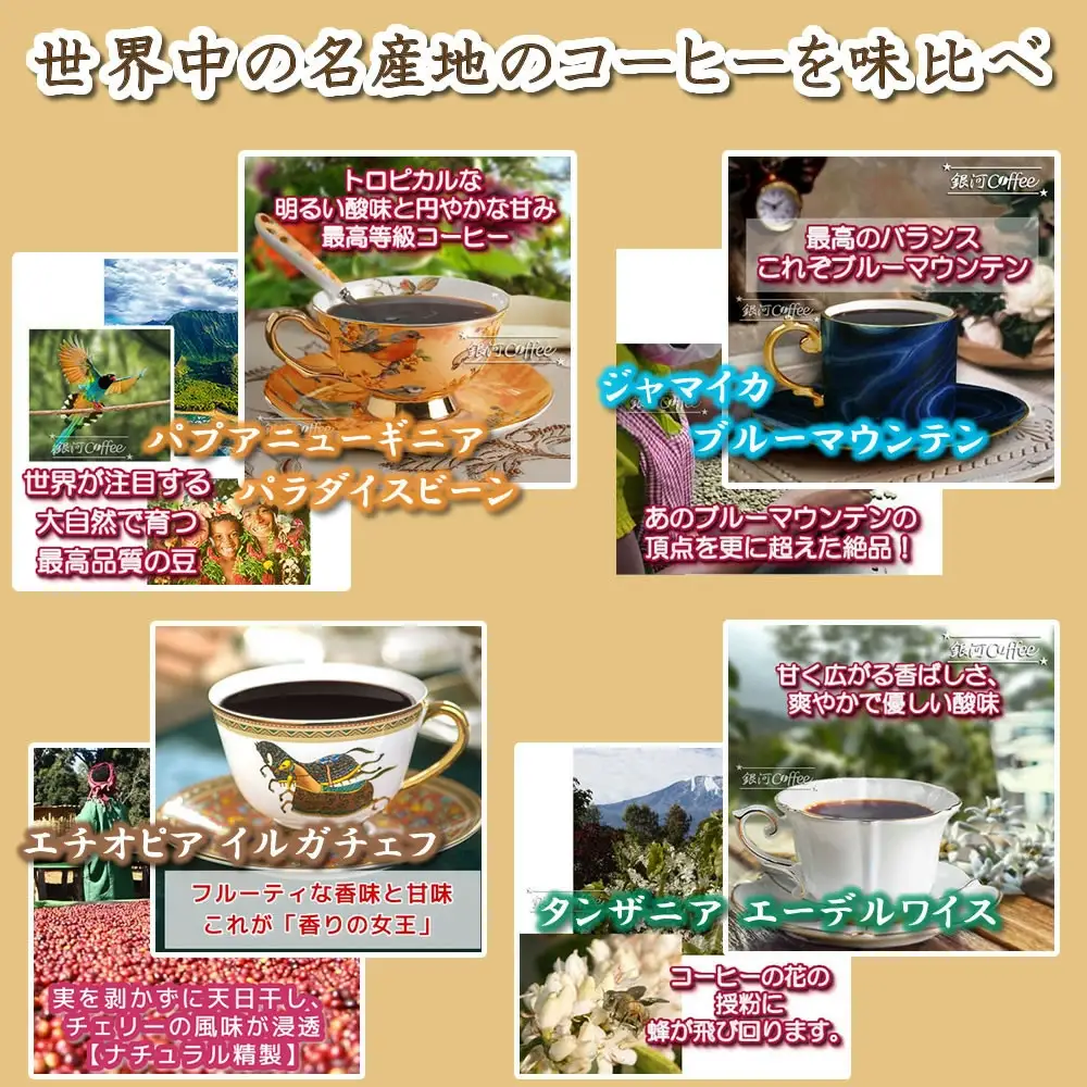 【12203-0106】定期便6回 世界一周 高級珈琲（豆のまま） 銀河コーヒー 