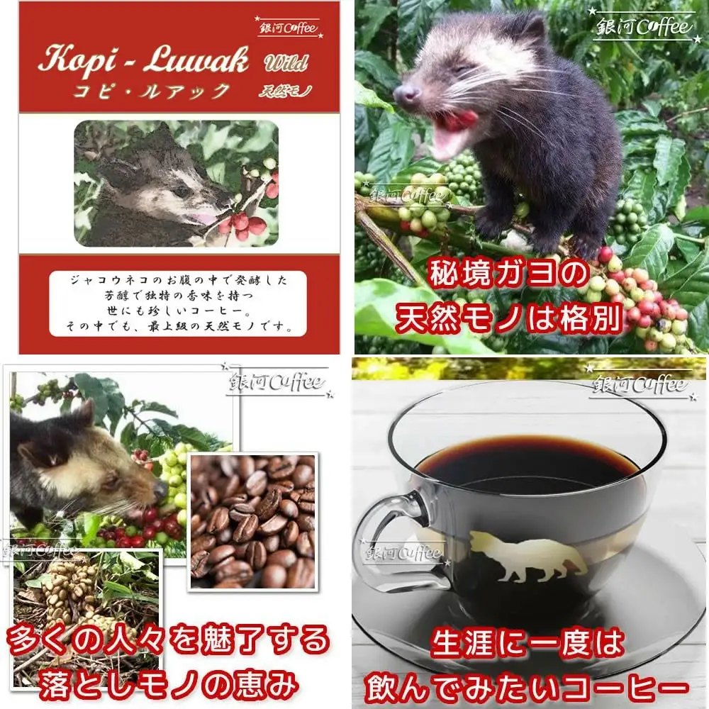 【12203-0105】生涯で飲みたい 世界3大珈琲（ドリップ式）5個×3種　銀河コーヒー