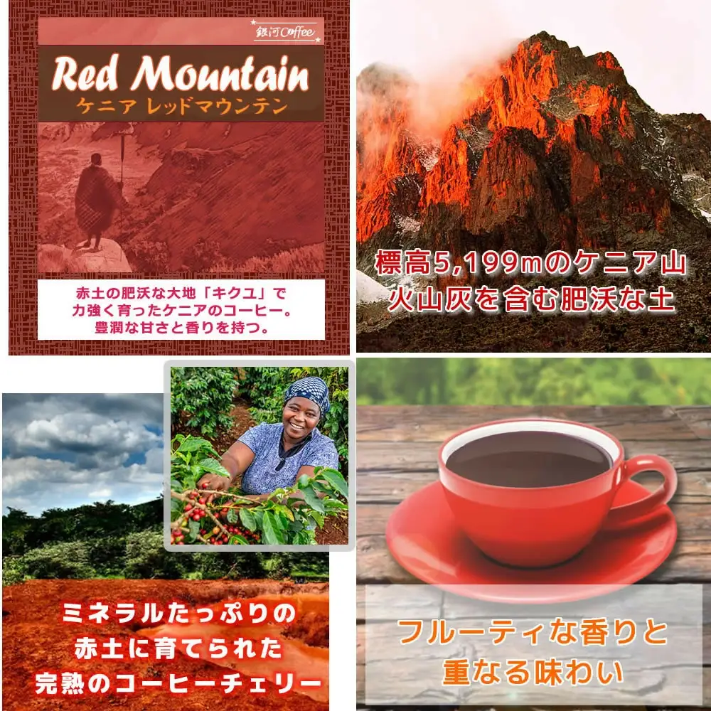 【12203-0102】世界の高級コーヒー（ドリップ式）4個×4種 銀河コーヒー