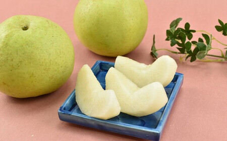 市川のブランド梨「かおり」大玉　約3kg（4～6玉）　【12203-0040】