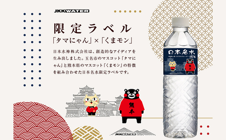 日本めいすい13℃ 600ml × 24本 | 水 名水 熊本名水 天然水 ミネラルウォーター 熊本県 玉名市