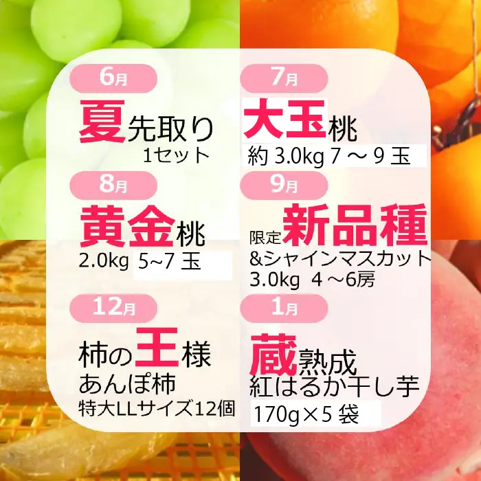 【定期便：全6回】極み四重奏 季節ごとの最高品を産地直送 088-017