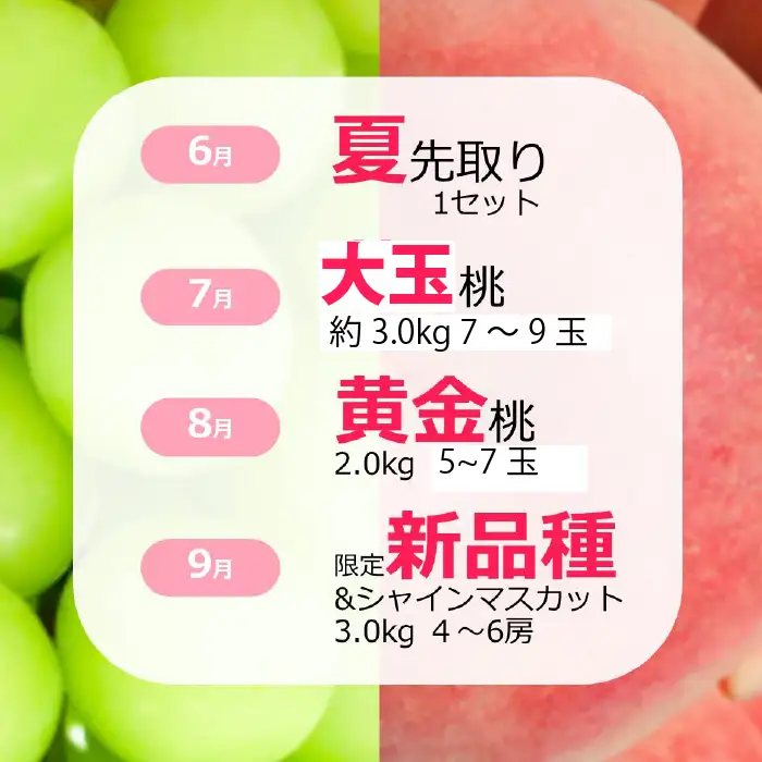 【定期便：全4回】極み四重奏 季節ごとの最高品を産地直送 088-018