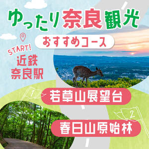 レンタカー利用券 30,000 円分　株式会社トヨタレンタリース奈良旅行 利用券 E-39