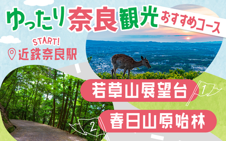 レンタカー利用券 6,000 円分 株式会社トヨタレンタリース奈良 トヨタ 車 レンタカー 旅行 奈良旅 利用券 H-115