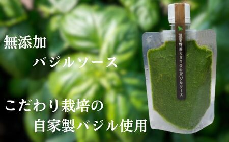 温室野菜 sano 生バジルソース３本セット 加工食品 ソース 