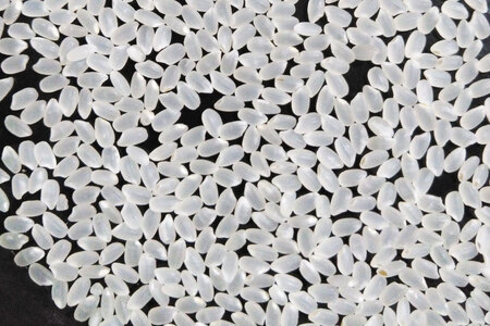 米 南三陸町産 ひとめぼれ めぐりん米 白米 1kg [南三陸さんさんマルシェ 宮城県 南三陸町 30ai0005]