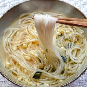 【6回定期便】マルゴめん中間産米麺(プレーン)10食【001-0339】