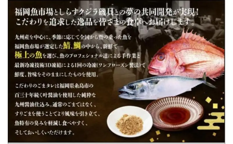 ごま鯖・ごま鯛 博多漁師セット 80ｇ×6袋（ごま鯖×3袋・ごま鯛×3袋） | 魚 お魚 さかな 食品 人気 おすすめ 送料無料 福岡市