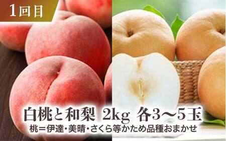 【先行予約令和8年発送】 みちのく“秋色”定期便 全4回 もも モモ 桃 デザート フルーツ 果物 くだもの 果実 食品 山形県 FSY-2663