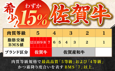 【全12回定期便】佐賀牛 贅沢コース＜極み＞ HBH135 牛肉 定期便 佐賀牛