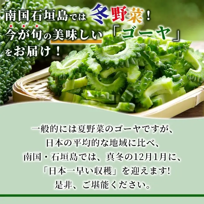 朝採れ「ゴーヤ」大5本セット！