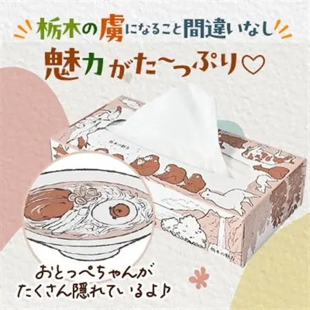 【10箱入り】使い切りパック!栃木の魅力ティッシュボックス※配送不可地域:離島・沖縄【配送不可地域：離島・沖縄県】【1454530】