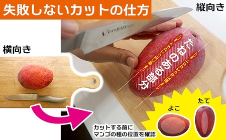 マンゴー【2026年発送】新里農園のアップルマンゴー家庭用（約2kg） 