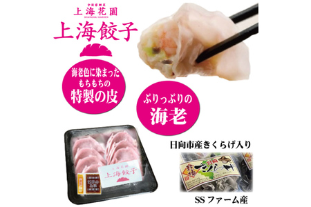 海老餃子 きくらげ入り 10×3 計30個 [サニーガーデン 宮崎県 日向市 452060640]