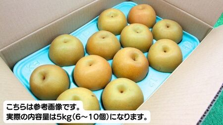【先行予約】《秀品》にっこり梨 5kg 6玉～10玉（茨城県共通返礼品／かすみがうら市）[ED001sa]