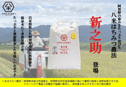 【令和7年産】【環境大臣賞受賞】【特別賞受賞】 3ヶ月定期便 無洗米 新之助 10kg×3回 計30kg 農家直送 ほんのり甘い「はちみつ農法」 白米 精米 HACHIBEI 八米 新潟県、米、こめ、コメ 1L25073