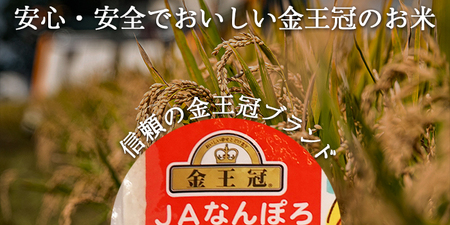 北海道産 ななつぼし 5kg 令和7年産 YES!clean 北海道安心ラベル 米 道産米 南幌町 NP1-477