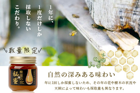 【秘境を味わう】【7営業日以内発送】椎葉の秘蜜 【50g×4本】国産天然はちみつ【数量限定】蜂蜜 はちみつ ハチミツ 養蜂 国産 天然 百花蜜 希少 50g 200g MS-11