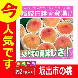 ＜滴る果汁とあふれる果肉が自慢のもも＞中玉の桃2kgセット【先行予約・2026年6月下旬より順次発送】秀品（約7～10個入り）