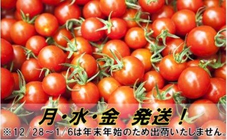 リコピンたっぷり！国東産ミニトマト3kg _0260N