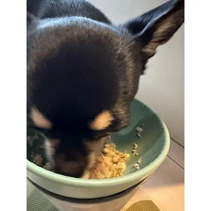 【福岡市】マンマミーア（お魚ベース1袋140g）5袋＜犬用＞