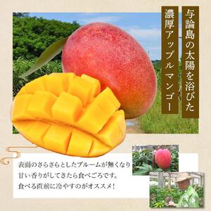 【2026年7月下旬より発送】【先行予約】平均糖度13度以上！アップルマンゴー約2kg（4~5玉）| マンゴー