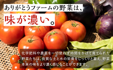 《令和8年産先行予約》有機大玉トマト ミニトマトのセット　有機JAS認定 合計2kg 